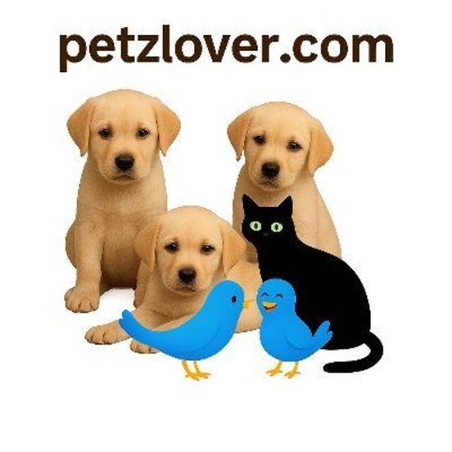 Petzlover