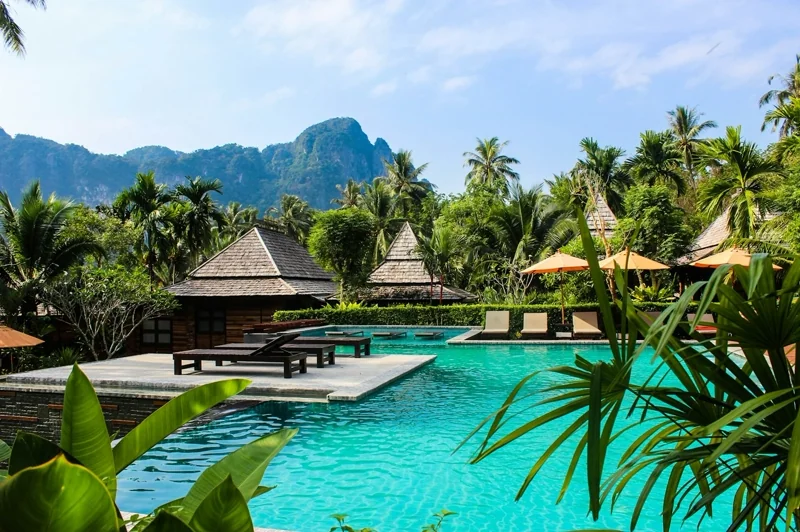 Aranya Stays: resort aerial