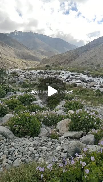 Ladakh 🏔️🛘🏯♥️